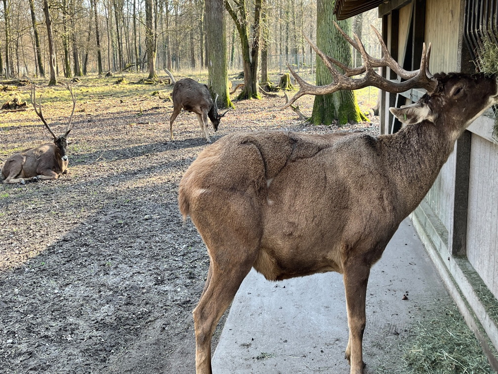 23-02-13 14-09-02 4212